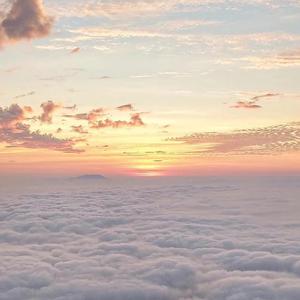 白鹿狂揉下部❌️❌️
