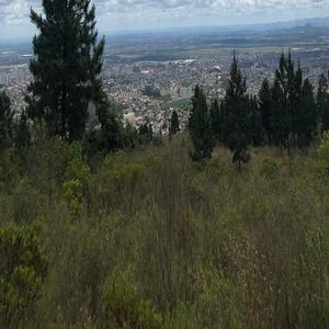 白鹿狂揉下部❌️❌️
